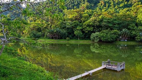 Chùa Cúc Huyền - Nơi Tĩnh Lặng Giữa Chốn Bụi Bặm Và Kiến Trúc Phục Hồi Tuyệt Mỹ!