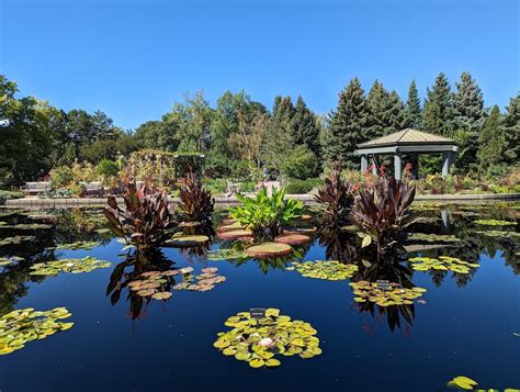 Denver Botanic Gardens: Lối vào thế giới thực vật đầy màu sắc và bí ẩn!