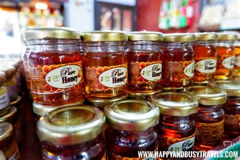  Bohol Bee Farm: Trải nghiệm nuôi ong độc đáo và thưởng thức mật ong nguyên chất!